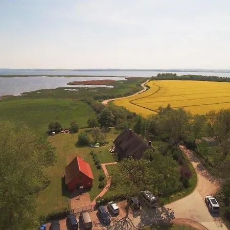 Reethaus Mertinat For Six