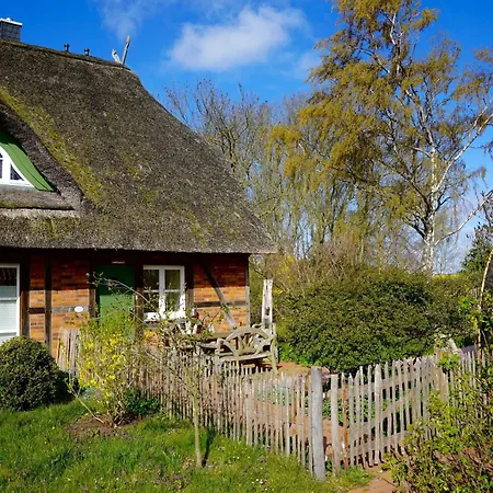 Reethaus Mertinat For Six Holiday home Insel Poel